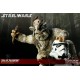 Star Wars Diorama Fall of the Empire (Ewoks vs Stormtrooper)